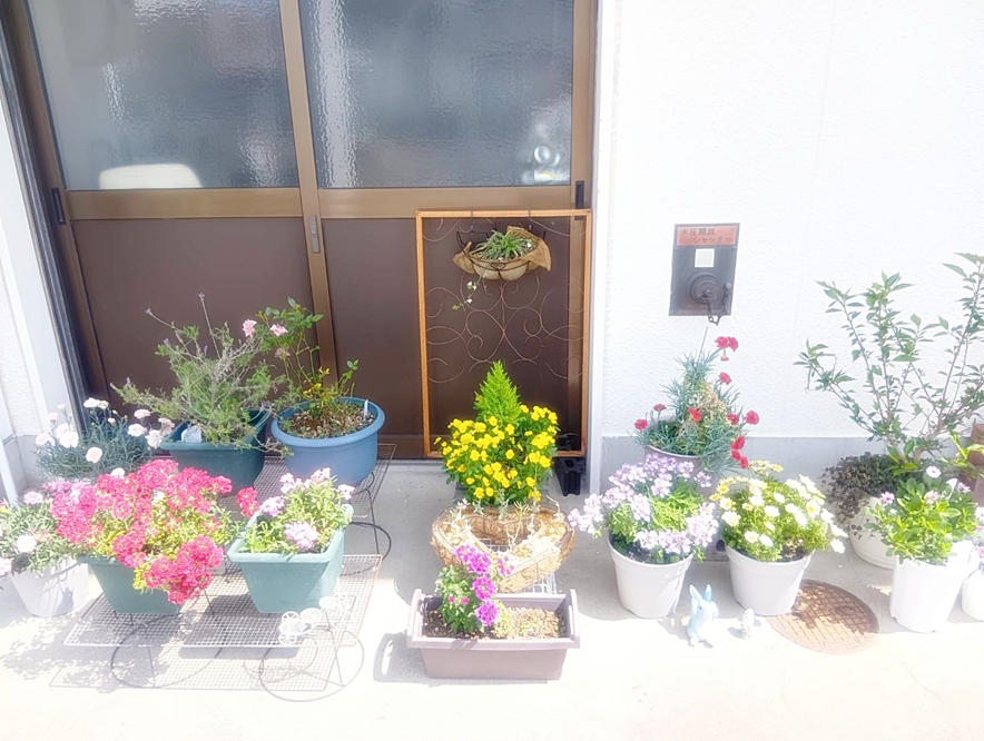 教会入口花壇2